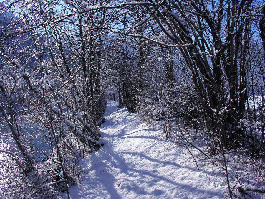 Neuschnee auf meinem Joggingweg