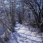 Neuschnee auf meinem Joggingweg