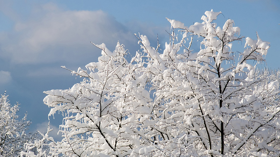 Neuschnee