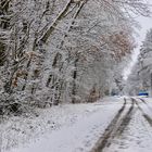 Neuschnee -blau-weiss + rot -weiss