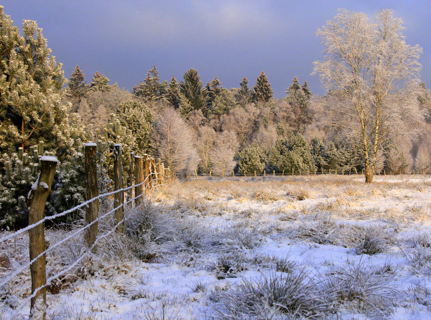 Neuschnee, dann Sonne