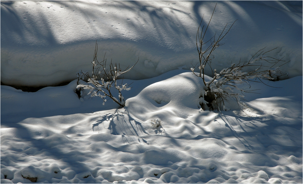 Neuschnee