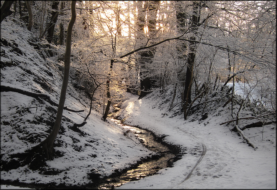 Neuschnee