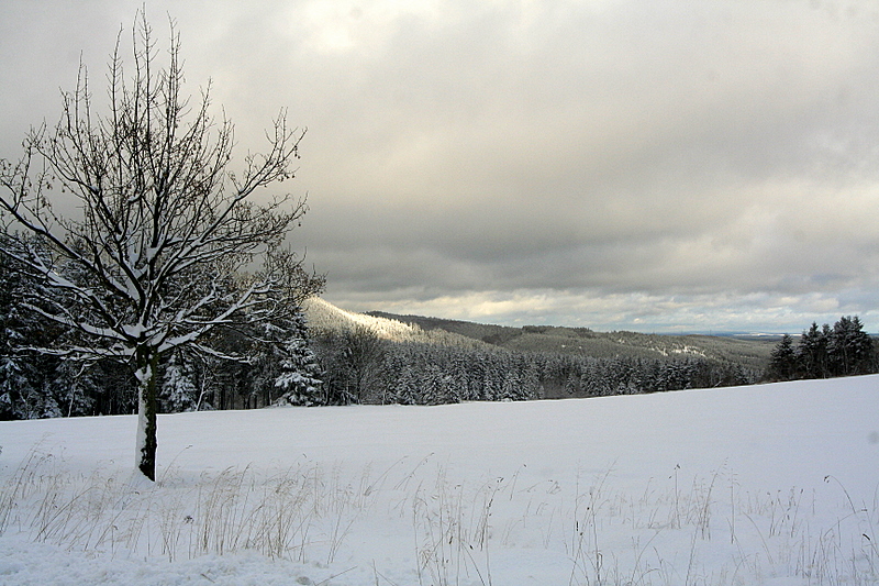 NEUSCHNEE