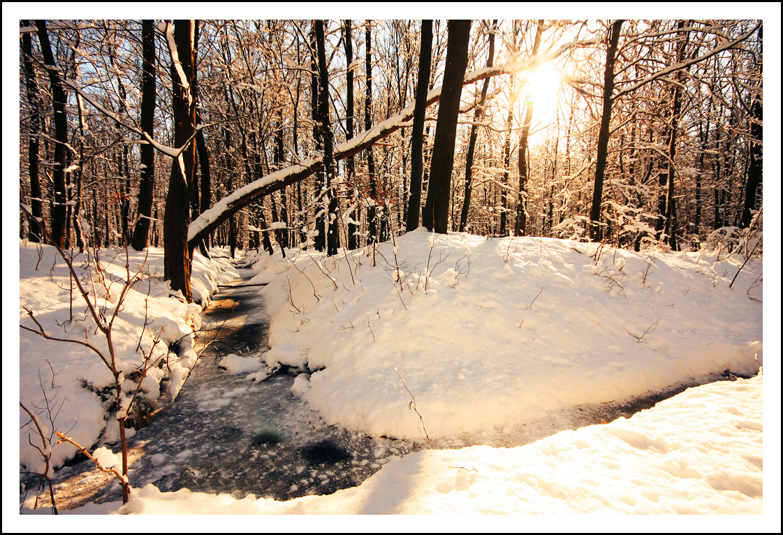 Neuschnee im März