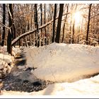 Neuschnee im März