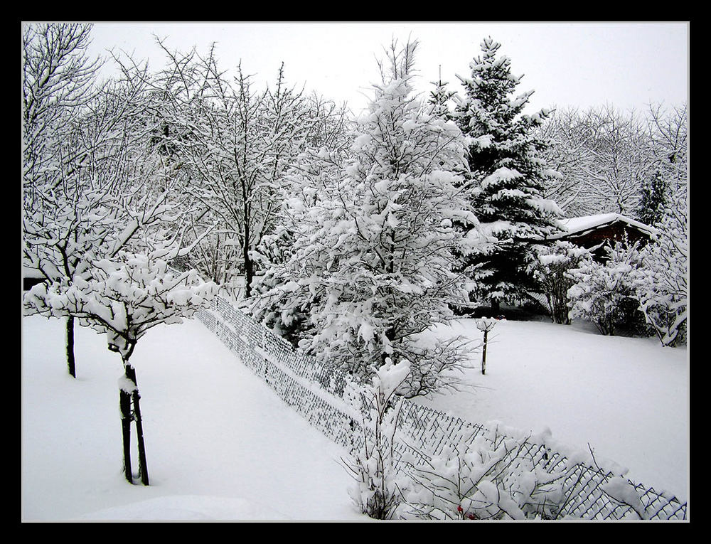 Neuschnee im März Foto & Bild | landschaft, garten ...