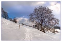 Neuschnee im März