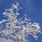 Neuschnee im März