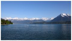 Neuschnee im Mai - Blick über den Thunersee ins Berner Oberland