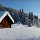 Neuschnee im oberen Isartal I