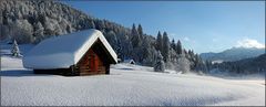 Neuschnee im oberen Isartal I