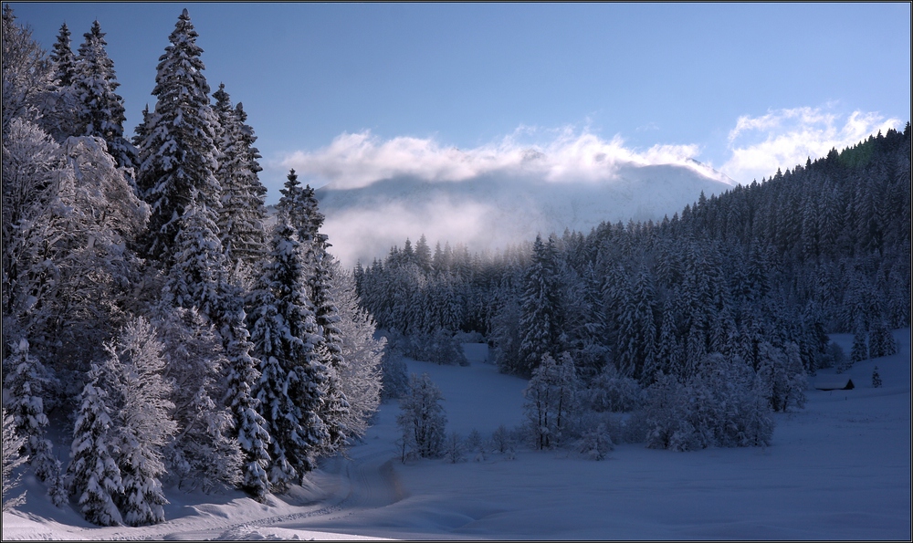 Neuschnee im oberen Isartal II