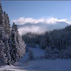 Neuschnee im oberen Isartal II