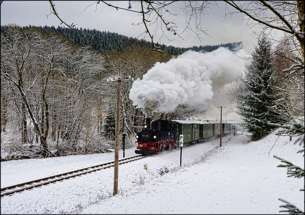 Neuschnee im Schwarzwassertal