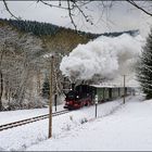 Neuschnee im Schwarzwassertal