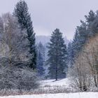 Neuschnee im Tal