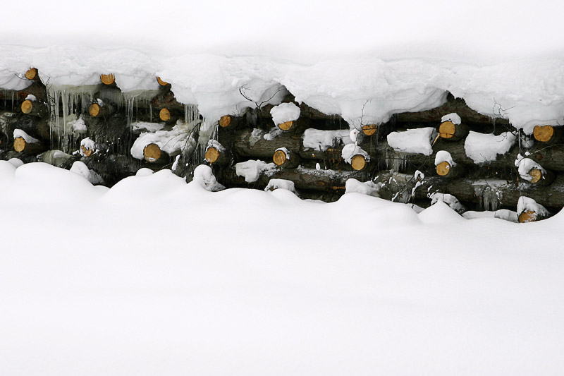 Neuschnee im Zillertal