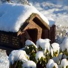 Neuschnee in der Nordeifel