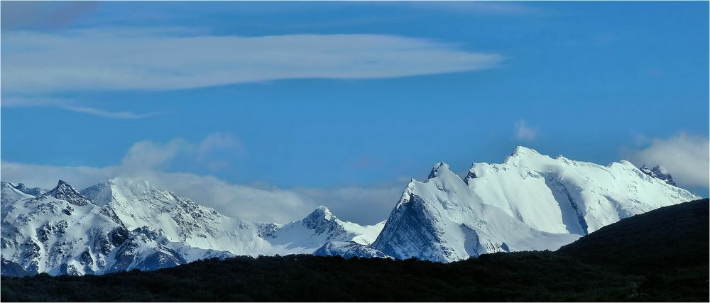 NEUSCHNEE IN DER WILDNIS