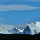 NEUSCHNEE IN DER WILDNIS