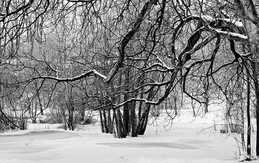 Neuschnee in Februar