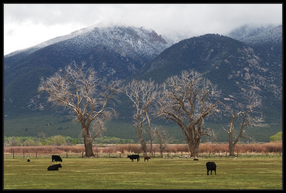 Neuschnee in New Mexico