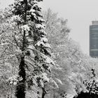 Neuschnee in Nürnberg