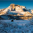 Neuschnee in Plätzwiese