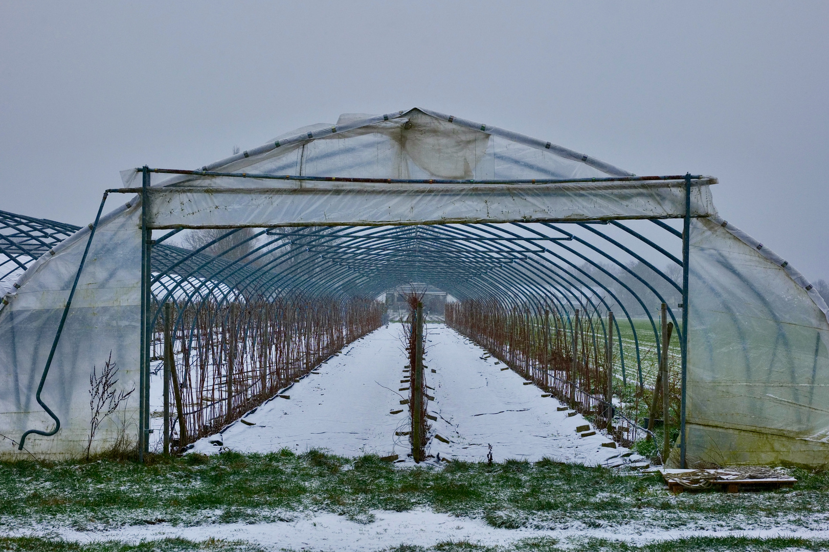 Neuschnee in Reinbek