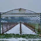 Neuschnee in Reinbek