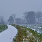 Neuschnee in Reinbek