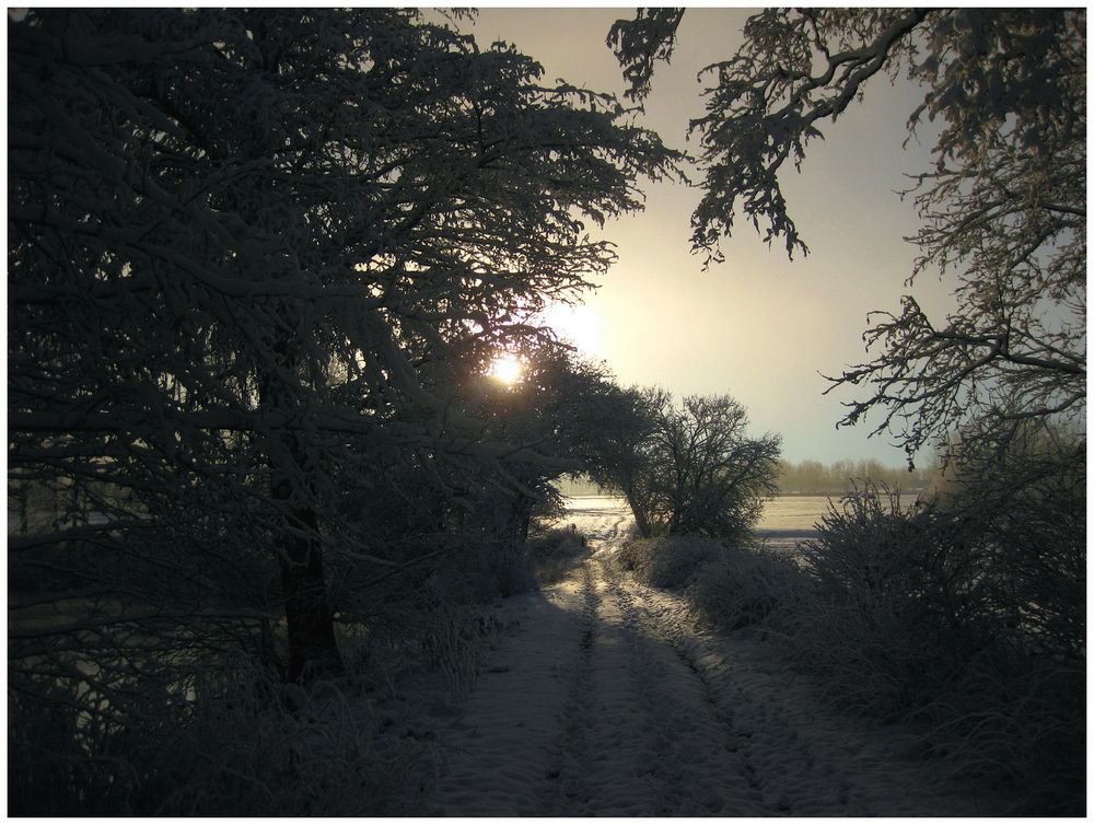 Neuschnee & Morgensonne