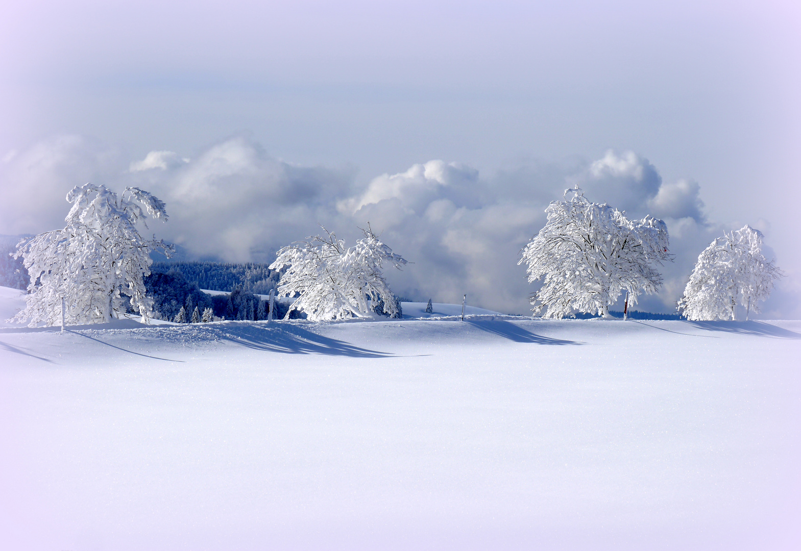 Neuschnee Passstrasse Schauinsland