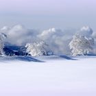 Neuschnee Passstrasse Schauinsland