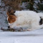 Neuschnee-Spaß am Karfreitag