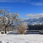 Neuschnee und Bilderbuchwetter