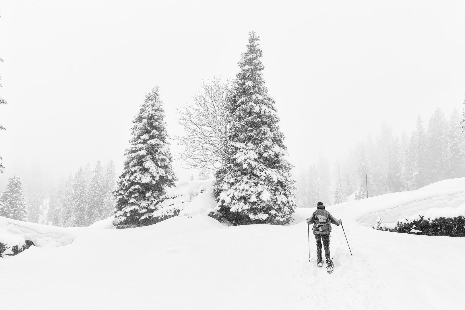 Neuschnee und Nebel