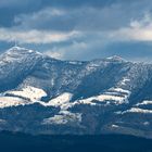 Neuschnee_auf_Rigi_4078