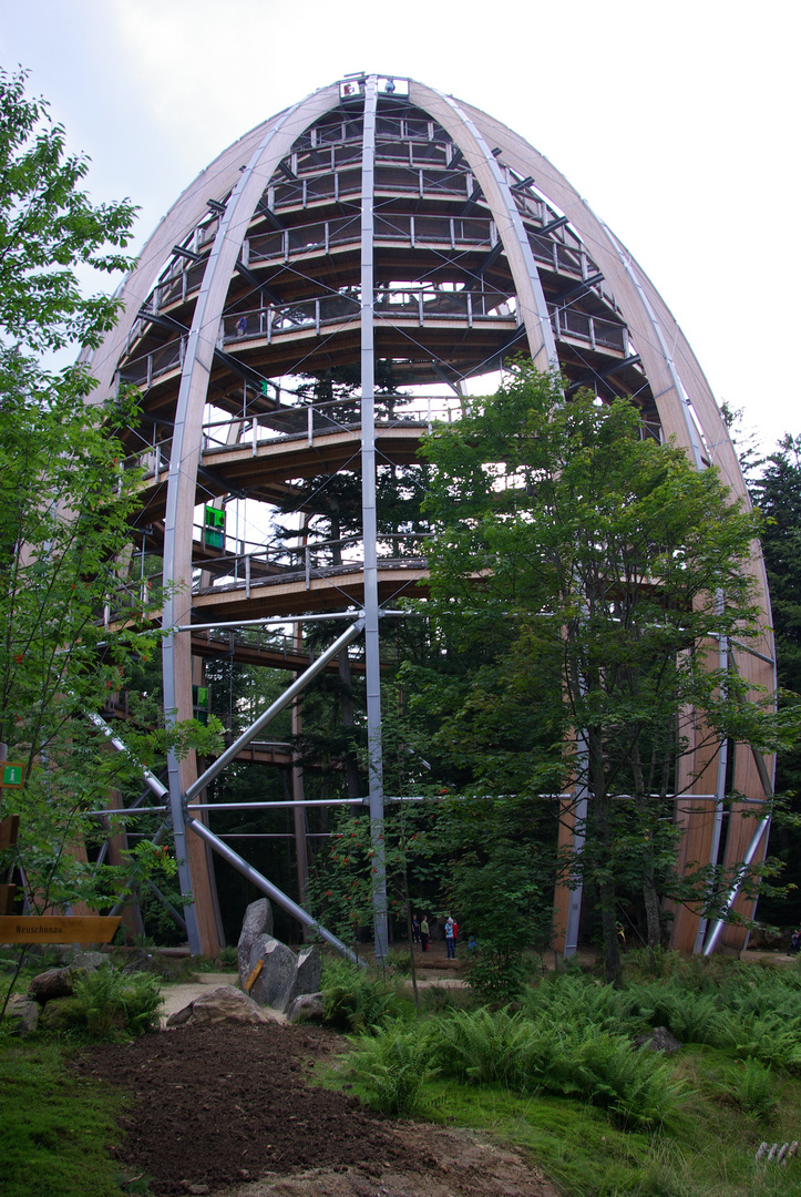 Neuschönau-Bayerischer Wald Baumhaus