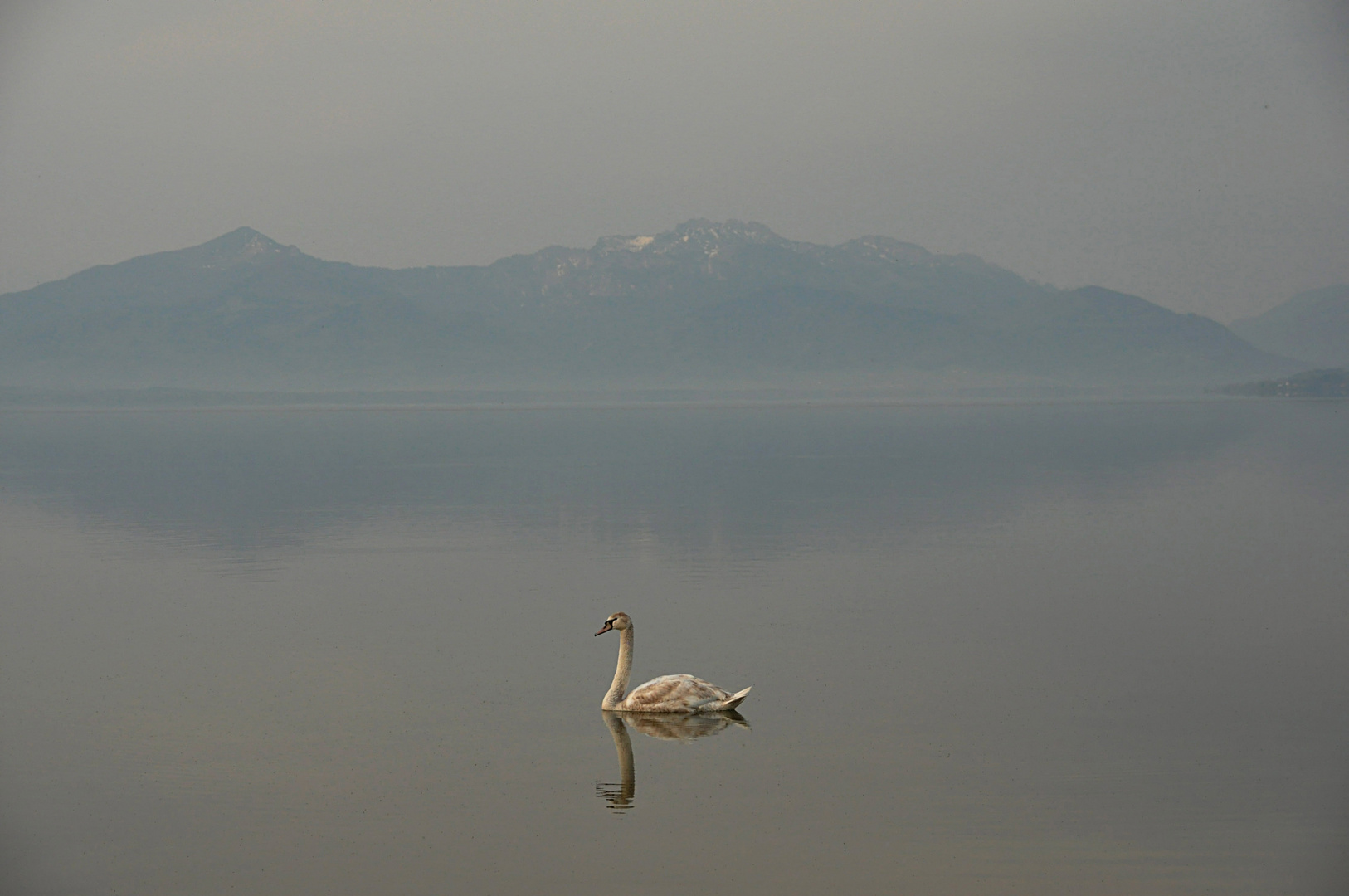 Neuschwanberg am Chiemsee