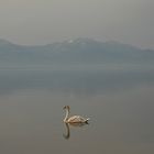 Neuschwanberg am Chiemsee