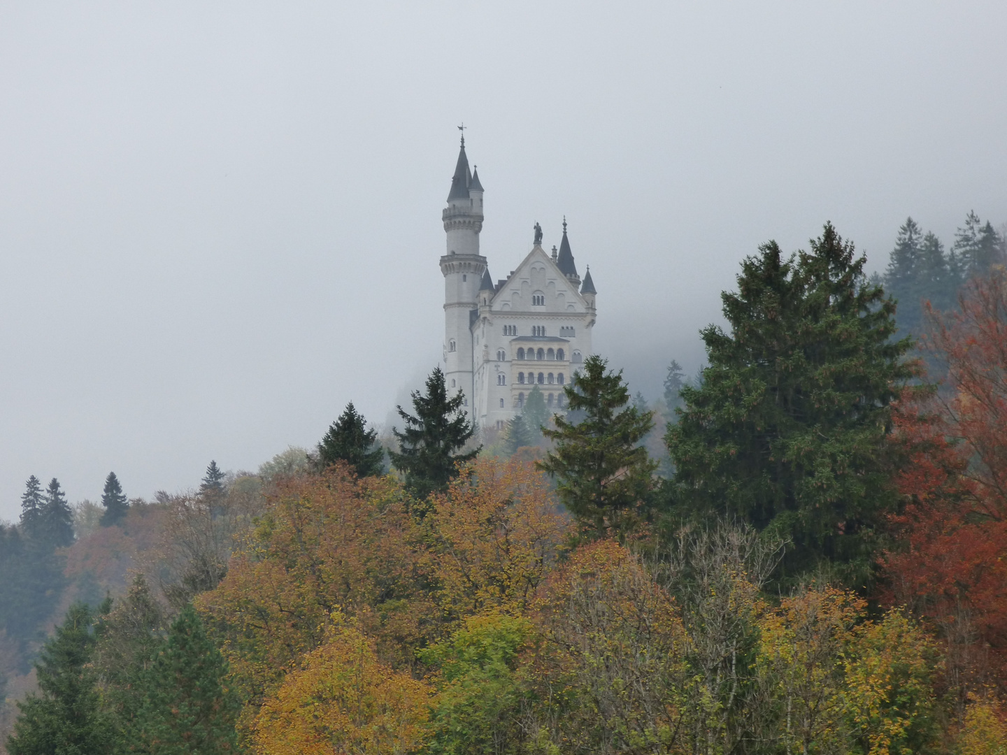 Neuschwanenstein-Traumschloss