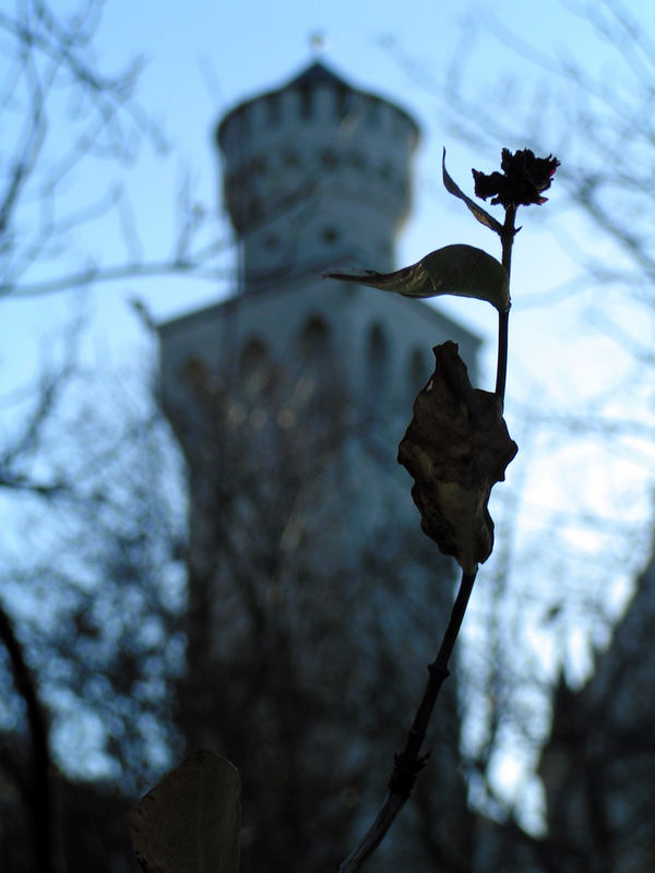 Neuschwanstein