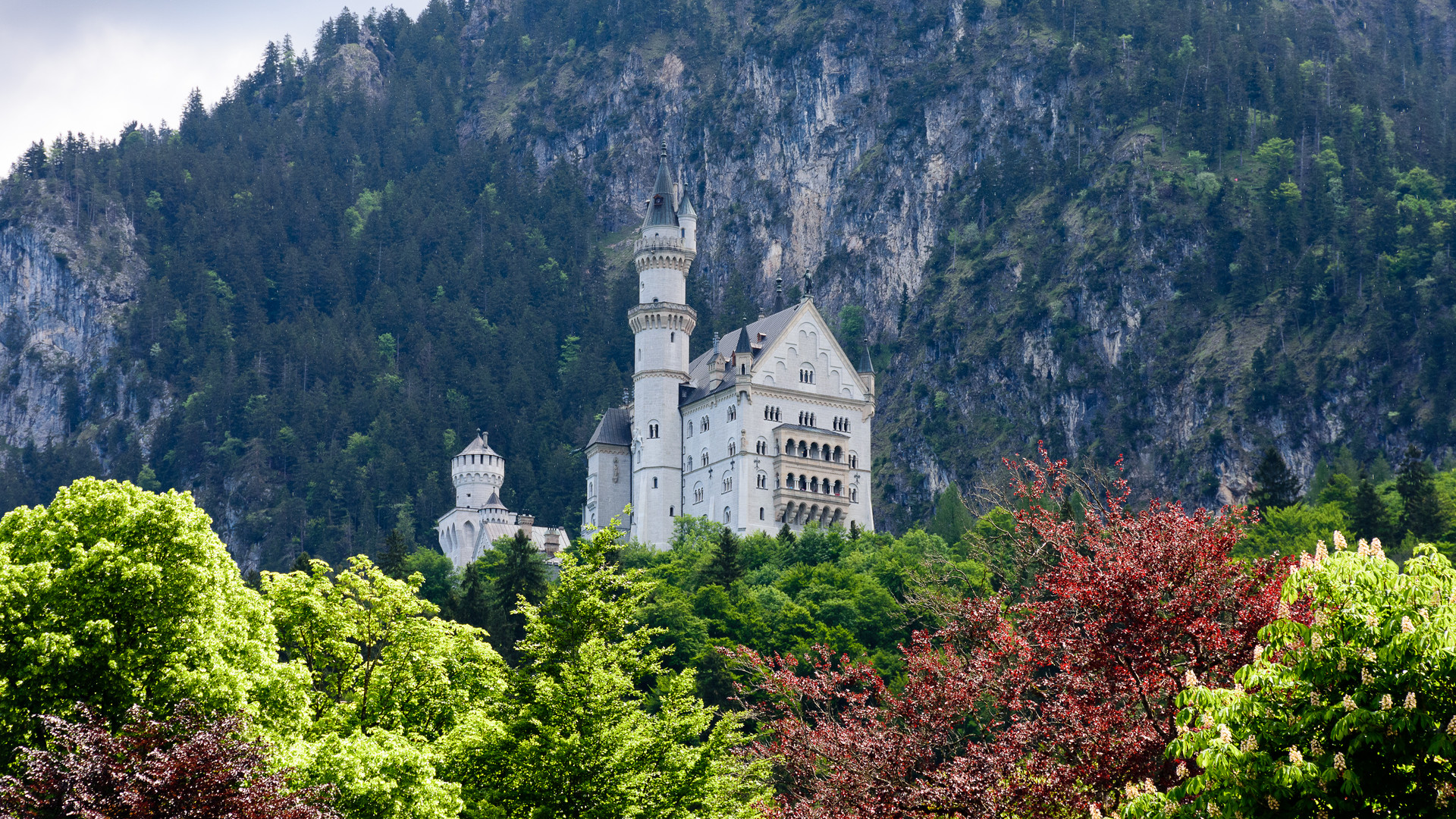 Neuschwanstein