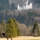 Neuschwanstein