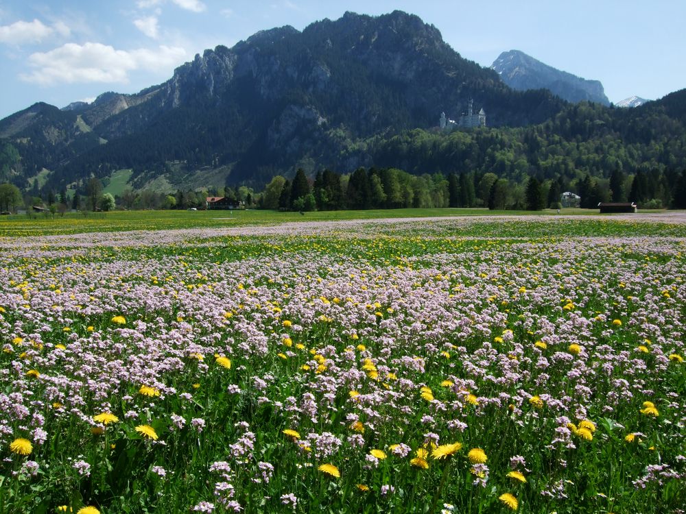 Neuschwanstein von Firemouse 