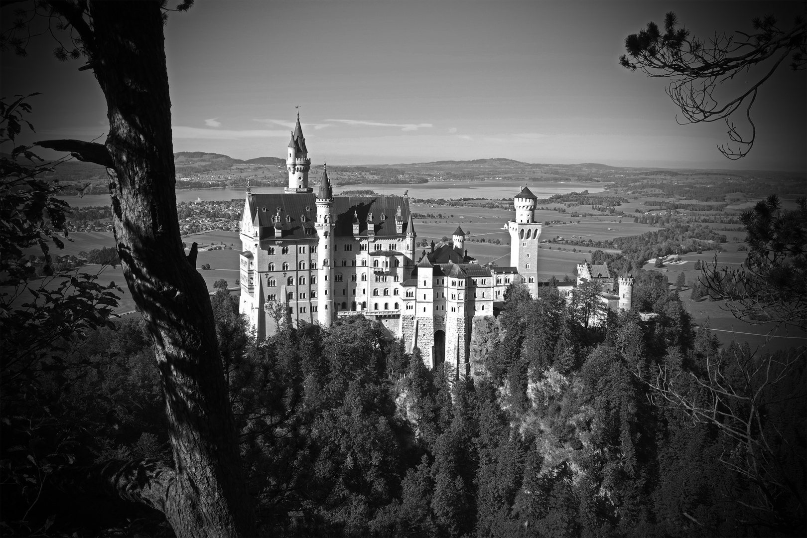 Neuschwanstein