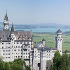 Neuschwanstein