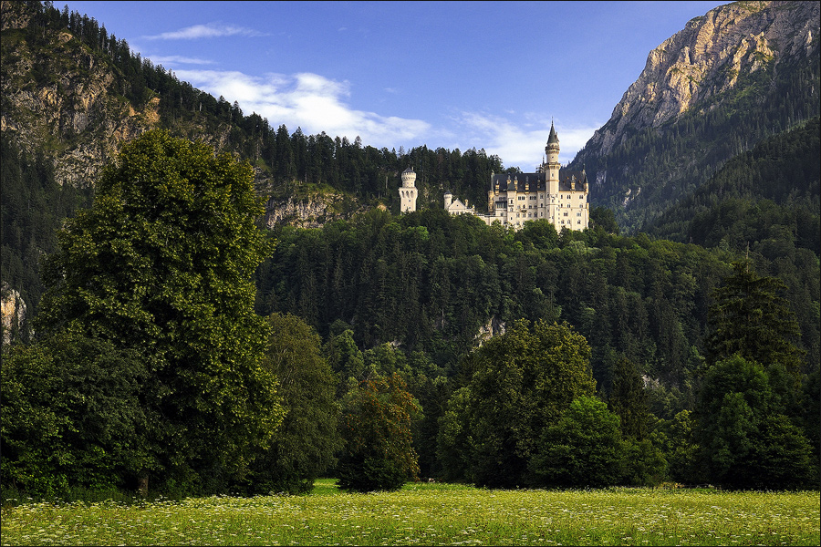 ... Neuschwanstein ...